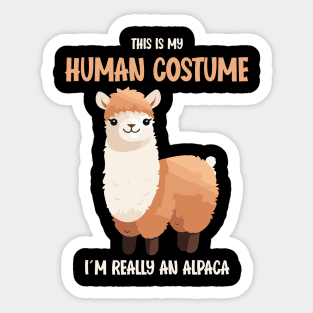 Cute Alpaca Halloween T-Shirt | This is My Human Costume Shirt | Funny Animal Lovers Season Outfit | Humorous Gift Idea Sticker